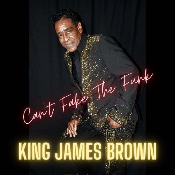 Cover art for Can't Fake the Funk